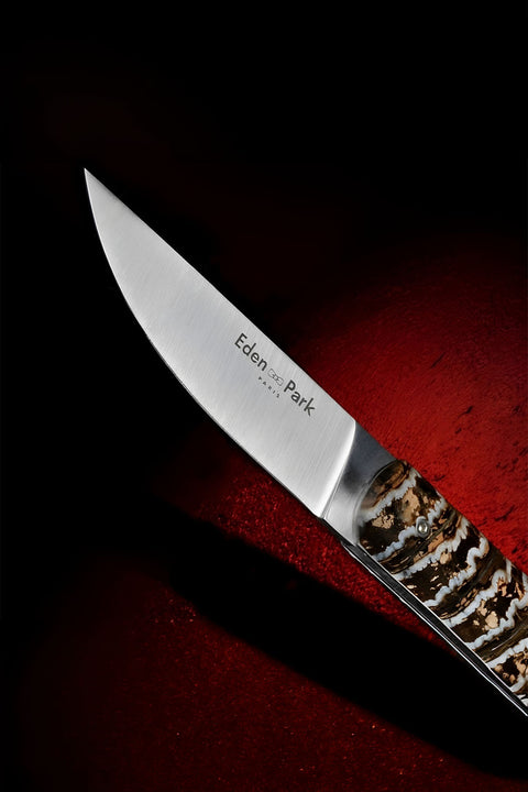 Couteau de poche avec manche en molaire de Mammouth beige - Image 1