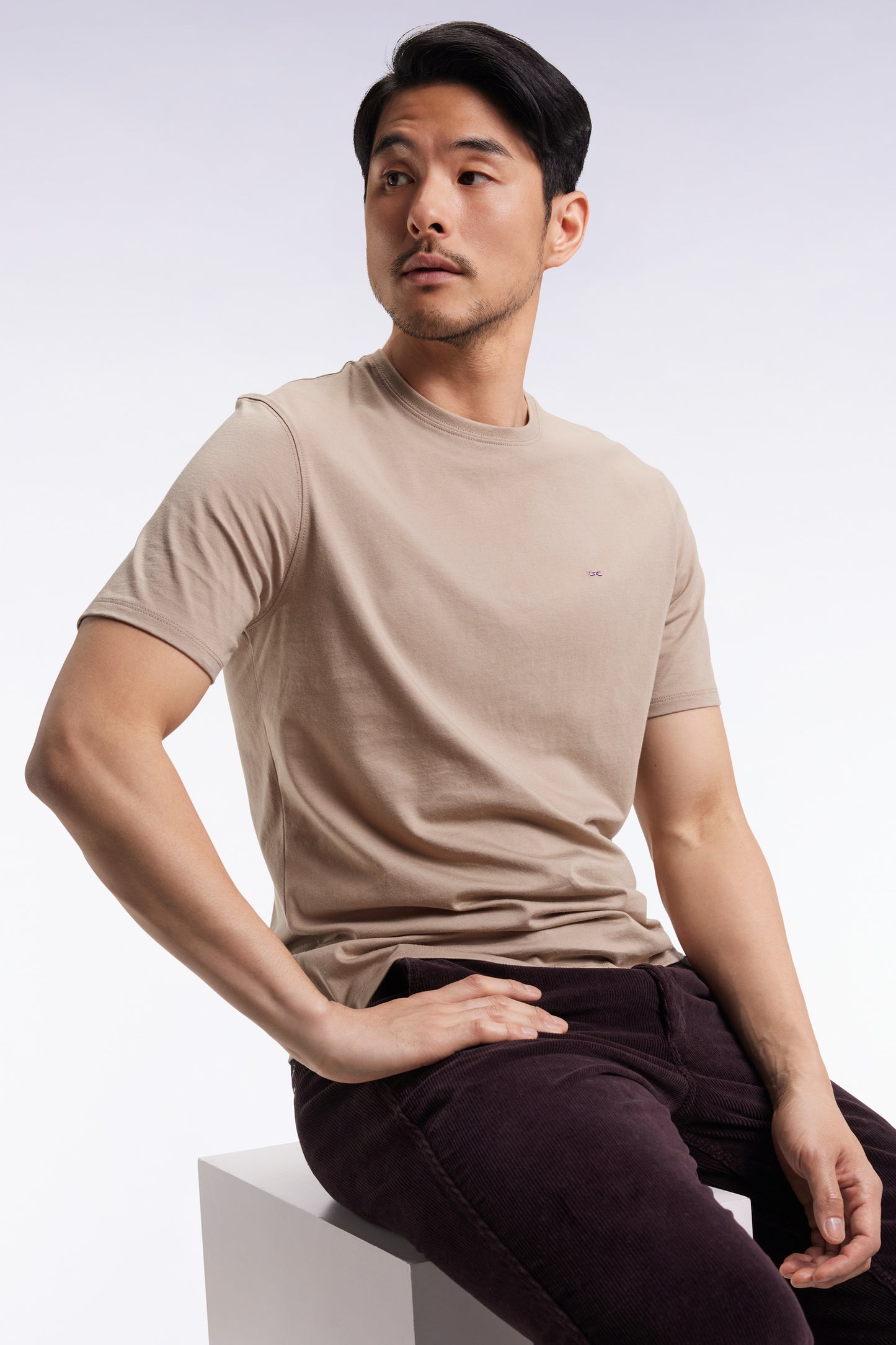 T-shirt manches courtes à col rond en coton Pima beige