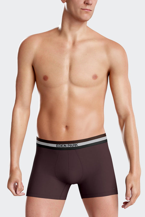 Set of 2 burgundy stretch cotton boxers with tricolor waistband - Image 3