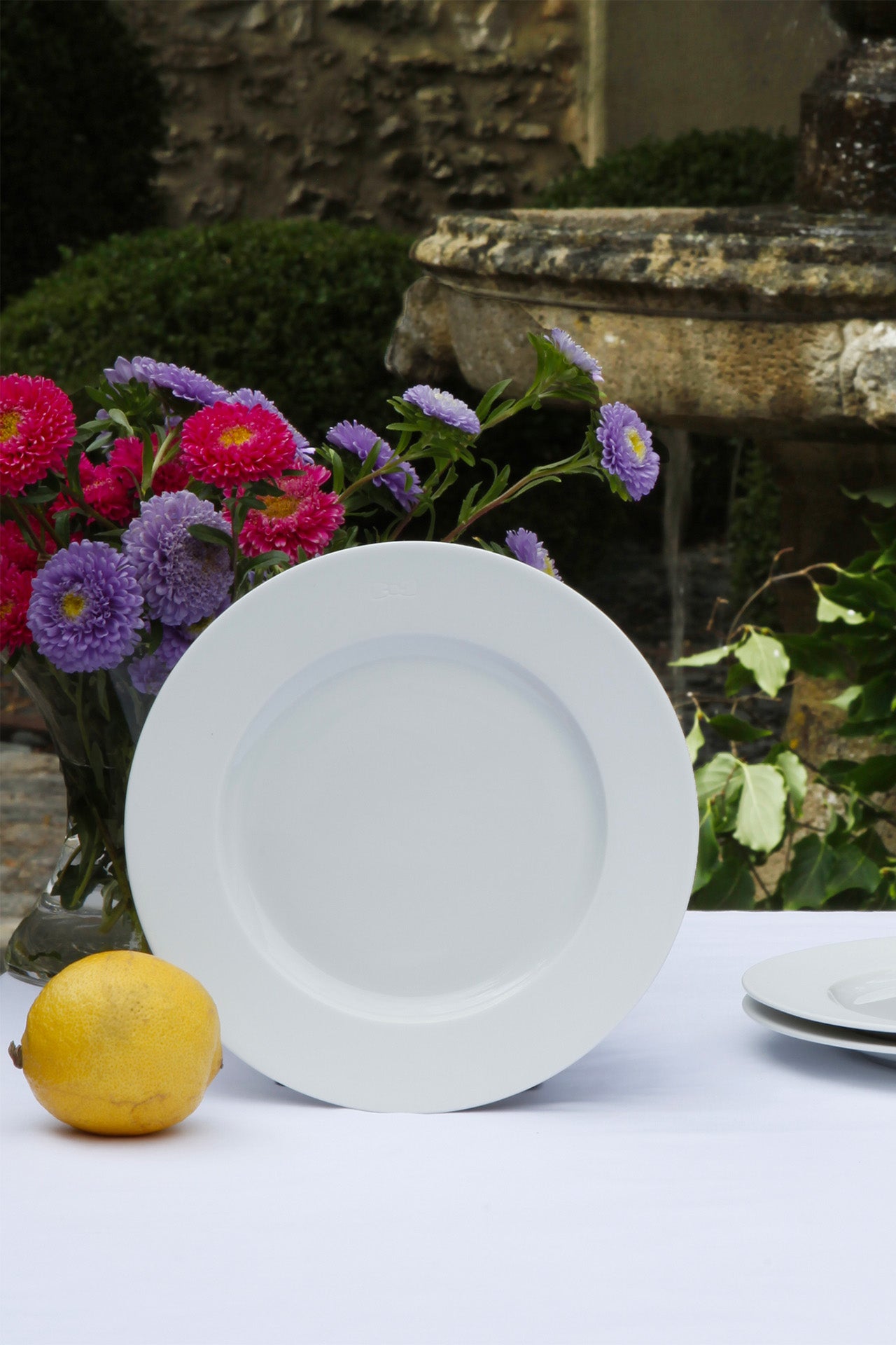 Set of 6 White Limoges porcelain plates