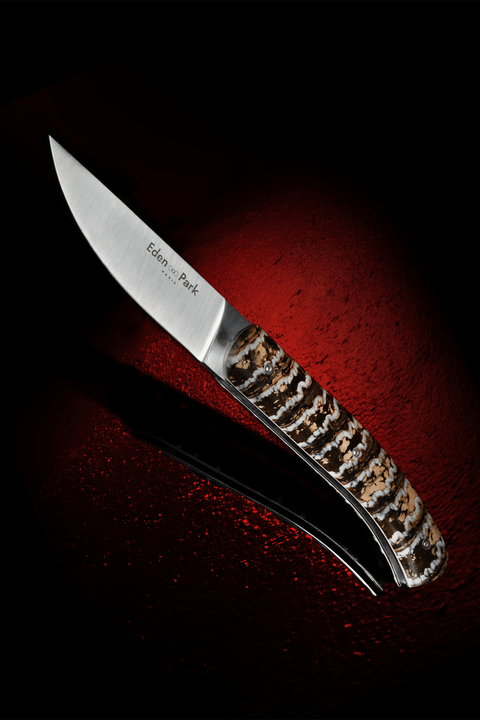 Couteau de poche avec manche en molaire de Mammouth beige - Image 2