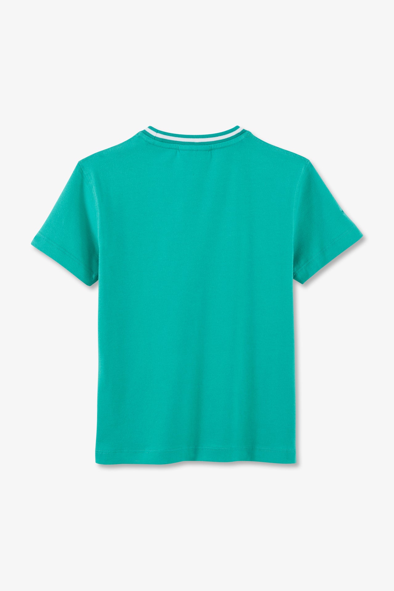 T-shirt col rond rayé Eden Park vert en coton stretch