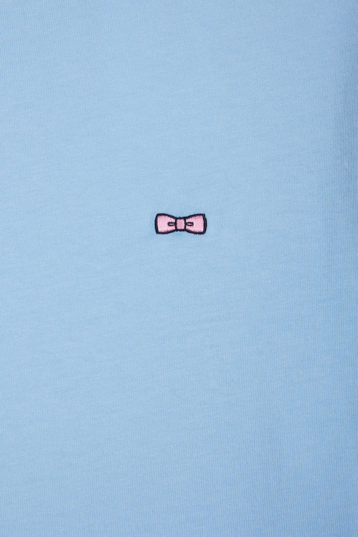 T-shirt in sky cotton with embroidery on hooped back, straight cut